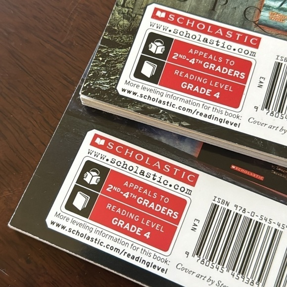 Bundle of 4 “I Survived” Chapter Books - Picture 6 of 6